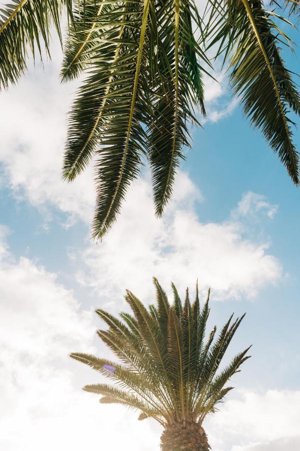 La Palmera - Fabulosa Casa, Lanzarote, Playa Honda Плая Онда Екстериор снимка
