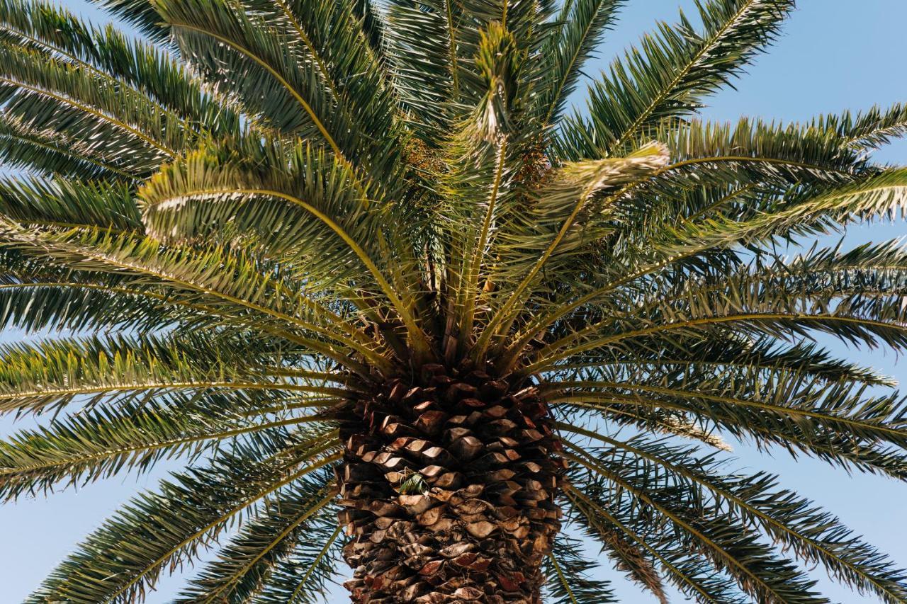 La Palmera - Fabulosa Casa, Lanzarote, Playa Honda Плая Онда Екстериор снимка